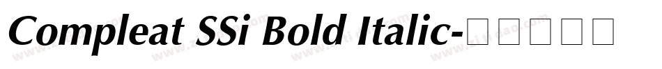 Compleat SSi Bold Italic字体转换